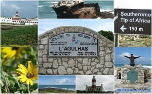 amt-tours-private-day (8)